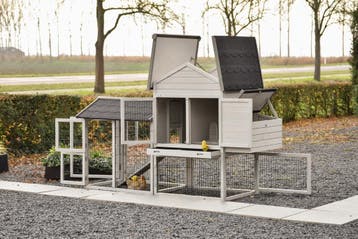 Prachtig Kippenhok Prestige Medium  - De beaux poulaillers, Ophalen of Verzenden, Nieuw, Kippenhok of Kippenren