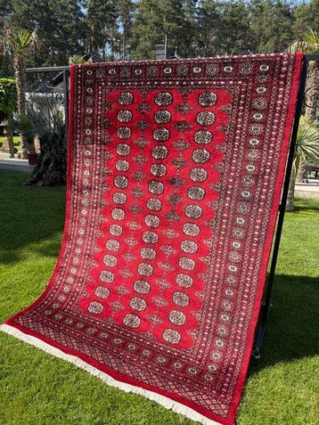 Top Pakistan tapijt - Tapijt - 260 cm - 170 cm, Nieuw