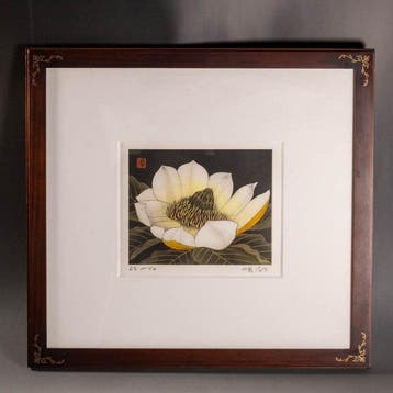 Magnolia Etching by Koizumi Junsaku - Koizumi Junsaku /
