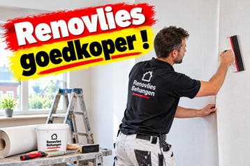 RENOVLIES BEHANGERS PRIJZEN DEZE MAAND (max 49%) GOEDKOPER !
