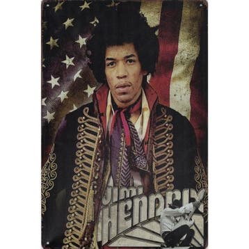 Wandbord Concert Bord - Jimi Hendrix In Person, Collections, Poster, Artwork of Schilderij