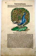 Conrad Gesner - First Issue - Peacock - Ornithology - Hand