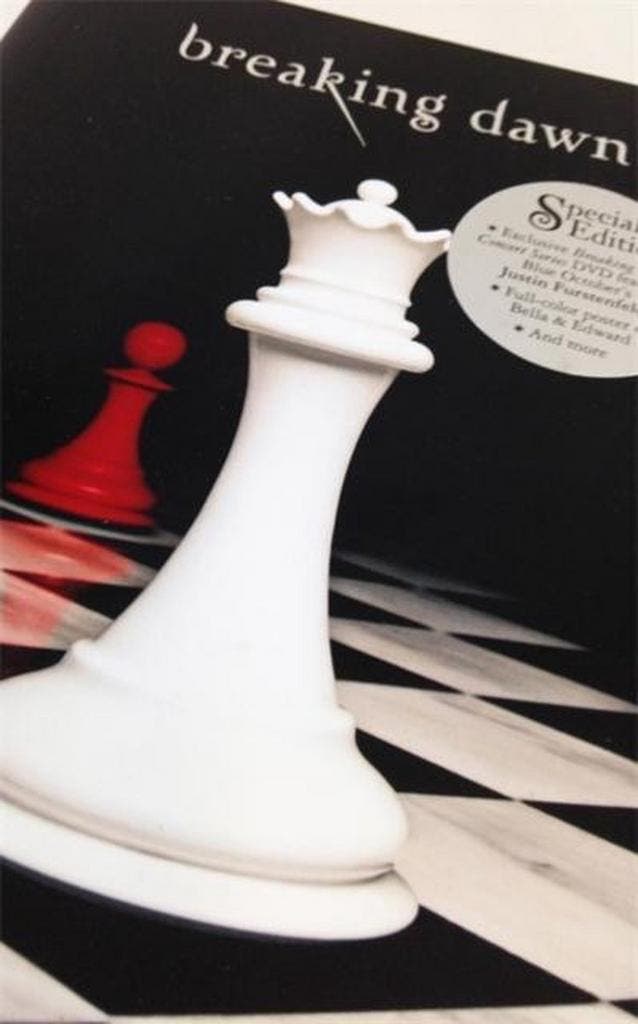 Breaking Dawn 9780316044615 Stephenie Meyer, Livres, Langue | Anglais, Envoi