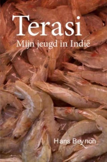 Terasi 9789460224416 Hans Beynon, Verzenden, Hans Beynon