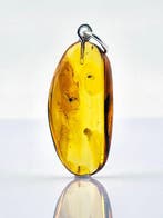 Barnsteen - Rare Baltic Amber Pendant – MOSQUITO & True Bug