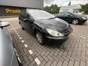 Online veiling - Peugeot - 307 - 1.6-16V XS - Car - 2004, Nieuw