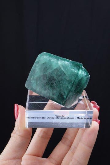 Fluorite vert émeraude Collection de cristaux - Hauteur :, Collections