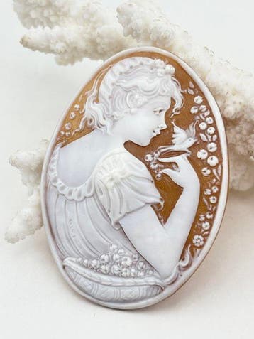 CASSIS MADAGASCARIENSIS - Cameo - Handgegraveerde camee