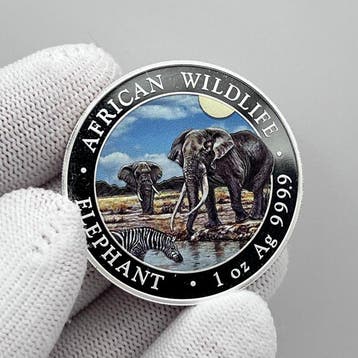 Somalië. 100 Shilling 2026 – African Wildlife Series –