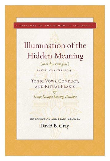Illumination of the Hidden Meaning Volume 2 9781949163049, Verzenden, David B. Gray