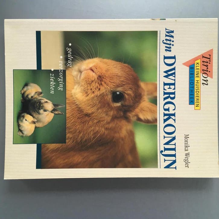 Mijn dwergkonijn / Tirion kleine huisdieren bibliotheek, Boeken, Hobby en Vrije tijd, Zo goed als nieuw, Verzenden