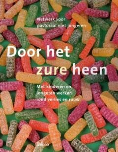 Door het zure heen 9789020958706 W. Selderslaghs, Verzenden, W. Selderslaghs