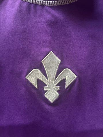 Fiorentina - Italiaanse voetbal competitie - 2026 -, Nieuw