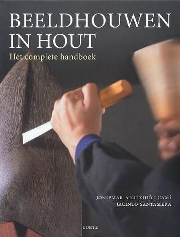 Beeldhouwen in hout 9789058777713 J. Teixido Cami, Verzenden, Gelezen, J. Teixido Cami