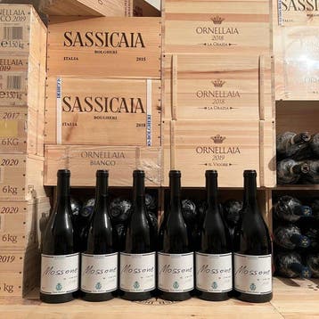 2022 Santa Barbara Stefano Antonucci Mossone - Marche DOC