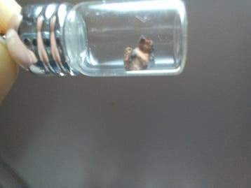 Maanhanger Bechar 006 - 0.12 g