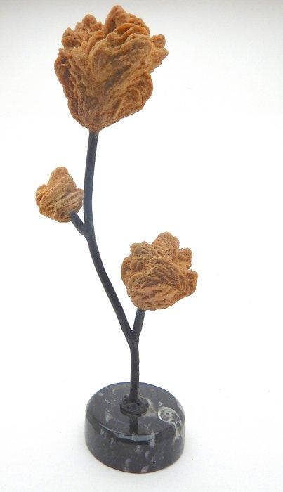 Zandroos Kristallen op matrix - Hoogte: 25 cm - Breedte: 10, Verzamelen, Mineralen en Fossielen