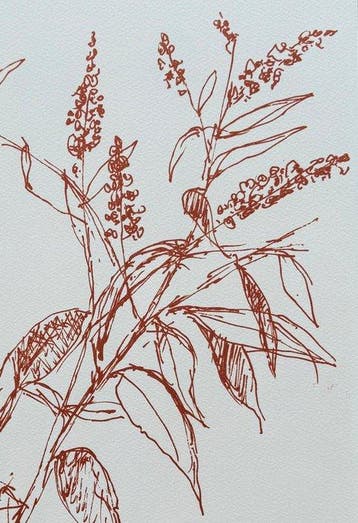 Bernard Cathelin (1919-2004) - Floraison légère