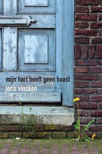 Mijn hart heeft geen haast 9789492421166 Joris Vincken, Verzenden, Joris Vincken