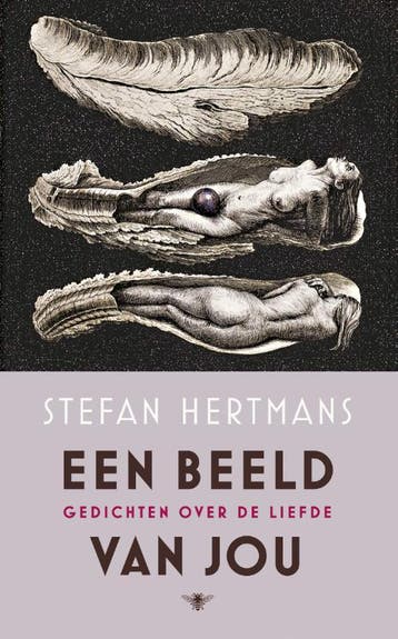 Een beeld van jou 9789023497370 Stefan Hertmans, Verzenden, Gelezen, Stefan Hertmans