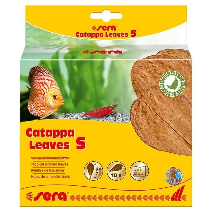 Sera Catappa Leaves Small 10 stuks (Waterverzorging), Animaux & Accessoires, Poissons | Aquariums & Accessoires, Enlèvement ou Envoi
