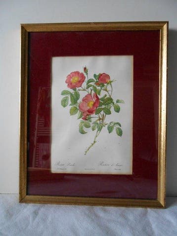 Wanddecoratie (3) - Frankrijk - 3 vintage kaders bloemen