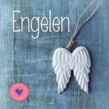Engelen 9789461887993 Gerd De Ley, Boeken, Verzenden, Zo goed als nieuw, Gerd De Ley