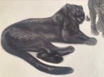 Georges Lucien Guyot (1885-1973) - Estampe Animalière