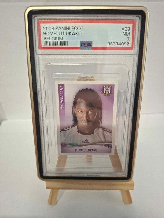 2009 Panini Football 2009 Belgium Romelu Lukaku #23, Verzamelen, Stickers