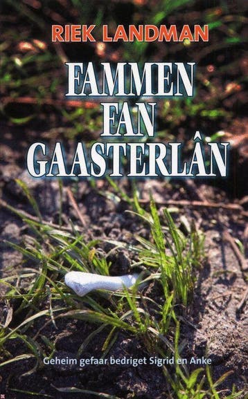 De fammen fan Gaasterlân 9789033006777 R. Landman, Verzenden, Gelezen, R. Landman