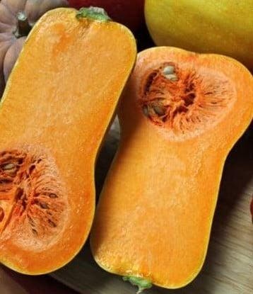 Butternut helviz f1 hoogproductive flespompoen, Nieuw