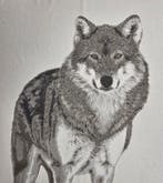 Alpaca-jacquard tapijt Lupo majestueus, kracht en wilde, Antiquités & Art