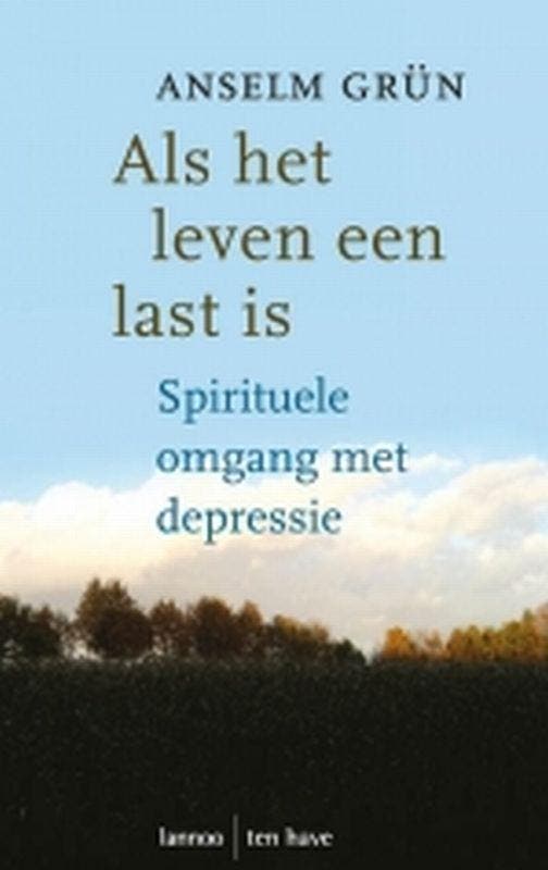 Als het leven een last is 9789059951419 Anselm Grün, Boeken, Esoterie en Spiritualiteit, Gelezen, Verzenden
