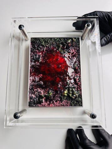 Nicolas Delage - FRAGMENT 109