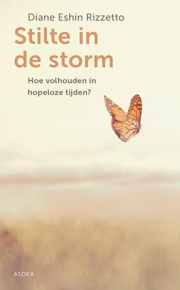Stilte in de storm 9789056704384 Diane Rizzetto, Verzenden, Gelezen, Diane Rizzetto