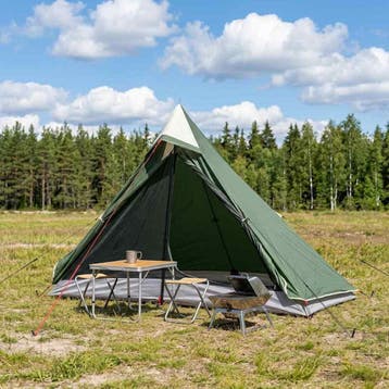 vidaXL Backpacking Tent Groen 222 x 85 x 125 cm, Verzenden