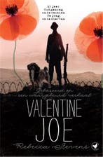 Valentine Joe 9789044345223 Rebecca Stevens, Verzenden, Gelezen, Rebecca Stevens