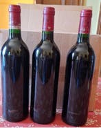 1994 Chateau Pavie Macquin - Bordeaux, Saint-Émilion Grand, Verzamelen, Wijnen, Nieuw