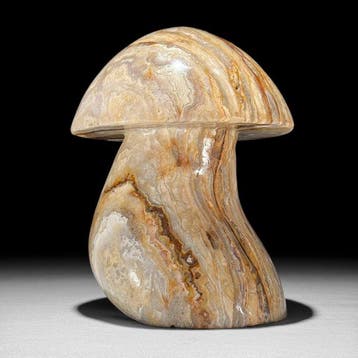 Sans prix de réserve - Sculpture de champignon en agate