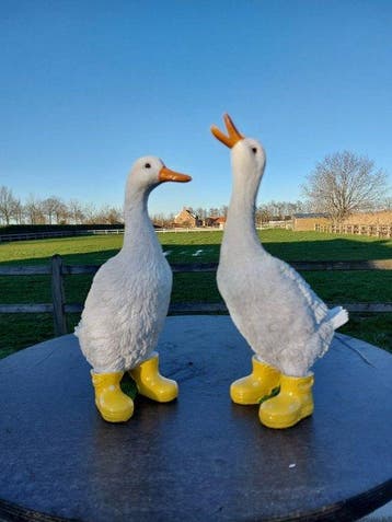 Beeld, funny goose with boots yellow - 32 cm - polyresin
