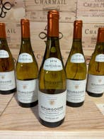 2019 Domaine Patriarche Père et fils - Bourgogne - 6 Flessen, Nieuw