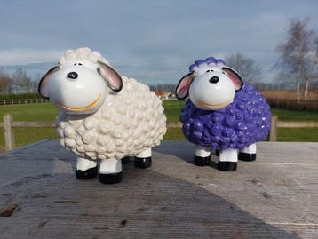 Beeld, set of 2 colorful lambs - 17 cm - polyresin