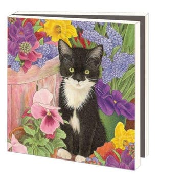 Kaartenmapje met env, vierkant: Franciens katten, Francien, Diversen, Wenskaarten, Ophalen of Verzenden, Nieuw