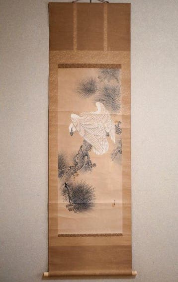 Vieux arbre et oiseau - pin et faucon blanc - rouleau
