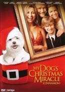 My dogs christmas miracle op DVD, CD & DVD, DVD | Comédie, Envoi