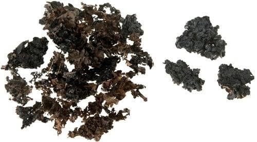Korstmos Musgo Taupewashed 250 gram, Hobby & Loisirs créatifs, Bricolage