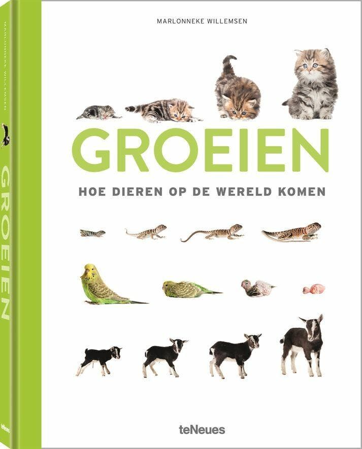Groeien, Hoe dieren op de wereld komen 9783961713424, Livres, Loisirs & Temps libre, Envoi