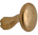 Knop Paddenstoel tbv SKG schild messing antiek, Nieuw