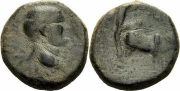 69-79 Phoenizien Vespasian Berytos Phoenikien Bronze Kolo..., Verzenden