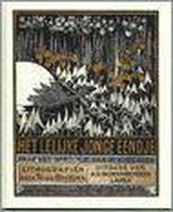 Het Lelijke Jonge Eendje 9789061010111 T. van Hoytema, Verzenden, T. van Hoytema